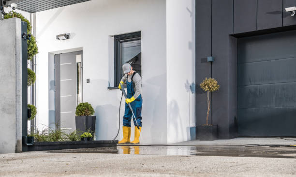 Best Roof Cleaning and Mildew Removal in Jamaica Beach, TX